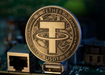 Paolo Ardoino über Stablecoin Zahlungen Whop