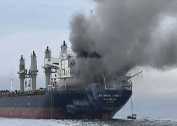 Drohnenboote als Werkzeug für Terror in der Straße von Hormus 2026