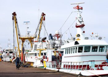 Hohe Dieselpreise bedrohen europäische Fischerei auf dem Boot