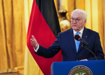 Deutscher Präsident äußert Kritik an Trump