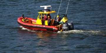 Die dramatische Rettungsaktion für den Buckelwal in der Wismarbucht