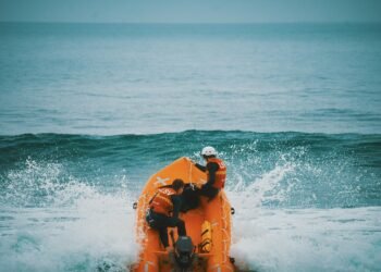 Gestrandeter Wal bei der Buckelwale Rettungsmission