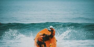 Gestrandeter Wal bei der Buckelwale Rettungsmission