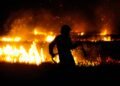 Ein Canadair-Flugzeug bekämpft den Waldbrand in Italien