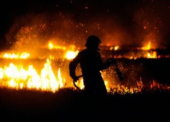 Ein Canadair-Flugzeug bekämpft den Waldbrand in Italien