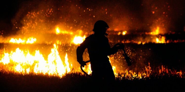 Ein Canadair-Flugzeug bekämpft den Waldbrand in Italien