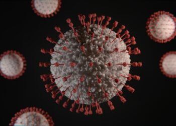 Fieberkontrollen im Osten des Kongo sollen die weitere Ausbreitung von Ebola verhindern
