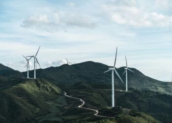 Abgestorbene Wälder erschweren das Erreichen der Klimaziele