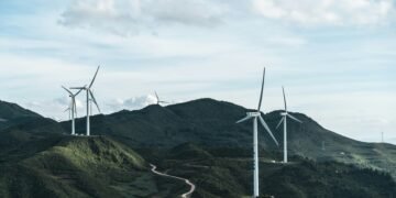 Abgestorbene Wälder erschweren das Erreichen der Klimaziele