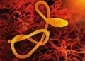 US-amerikanischer Ebola-Patient in Berliner Krankenhaus stabil, Familie negativ getestet 29 Ebola-Patient in Klinik in Berlin versorgt