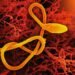 US-amerikanischer Ebola-Patient in Berliner Krankenhaus stabil, Familie negativ getestet 27 Ebola-Patient in Klinik in Berlin versorgt