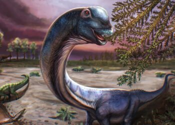 Massiver Knochen von einem Dinosaurier in Thailand gefunden