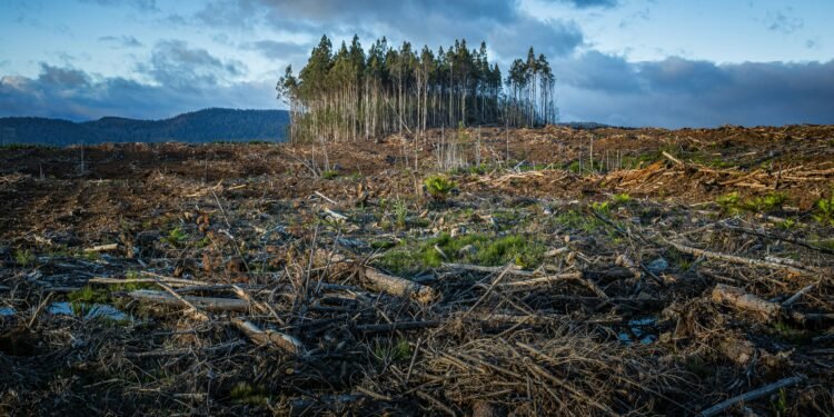 EU plant für kommende UN Klimakonferenz einen neuen Ansatz bei Klimaverhandlungen 26 Neuer Ansatz der EU bei den Klimaverhandlungen