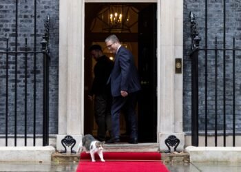 Präsident Selenskyj in London