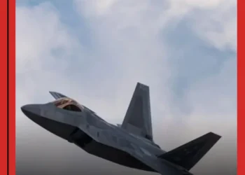 BerlinMorgen Magazin Issue 49
