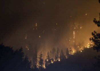 Waldbrand Rauch in den USA verursacht schlechte Luft