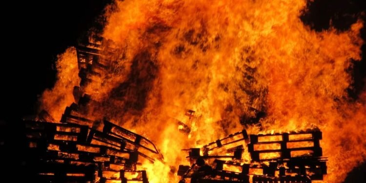 Verheerende Waldbrände in Europa haben über 17000 Hektar Land völlig zerstört