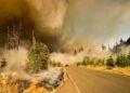 Waldbrand in Spanien fordert zwölf Todesopfer und zahlreiche Vermisste