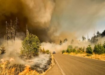 Waldbrand in Spanien fordert zwölf Todesopfer und zahlreiche Vermisste