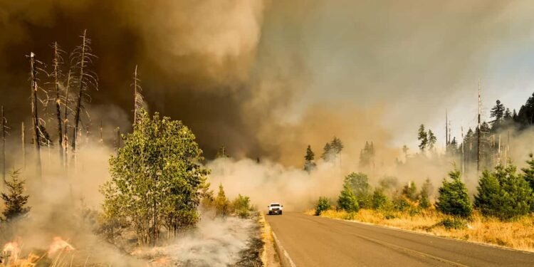 Waldbrand in Spanien fordert zwölf Todesopfer und zahlreiche Vermisste 24 Waldbrand in Spanien fordert zwölf Todesopfer und zahlreiche Vermisste