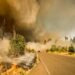 Waldbrand in Spanien fordert zwölf Todesopfer und zahlreiche Vermisste