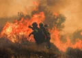 EU-geförderte LIFE-Projekte im Kampf gegen Waldbrände