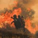 EU-geförderte LIFE-Projekte im Kampf gegen Waldbrände