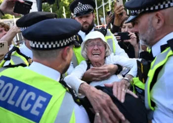 Ehemaliger Hamas-Leibwächter in London wegen Terrorplänen festgenommen