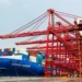 Europäische Bierimporte über den Hafen Ningbo erreichen 107 Millionen Yuan