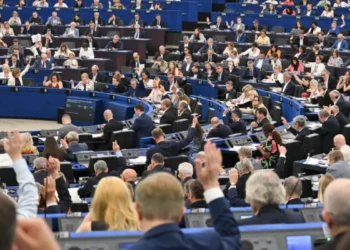 Europäisches Parlament Krebs-Votum wirft Fragen zu Risiken auf
