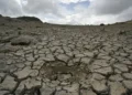 UN warnen vor starkem El Niño als globale Gesundheitsgefahr