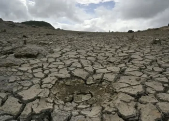 UN warnen vor starkem El Niño als globale Gesundheitsgefahr