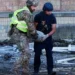 Europäische Verdrängung Der Kriegsgefahr Gefährdet Die Regionale Sicherheit Und Stabilität